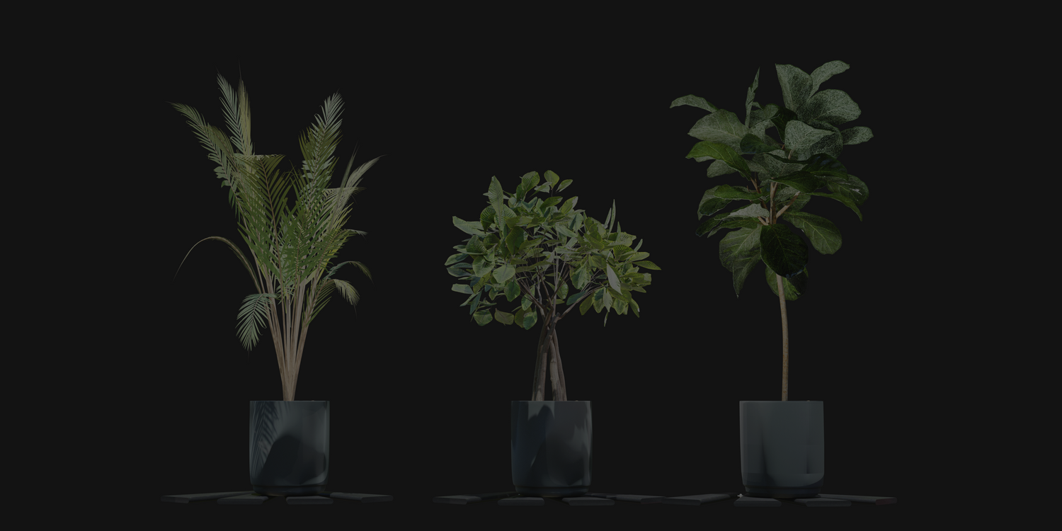 現代の床の間:和風ディスプレイマットが魅せる観葉植物の存在感